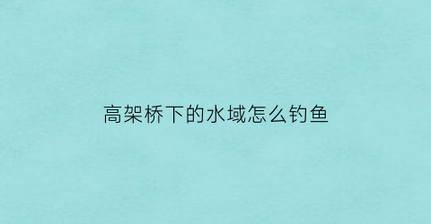 高架桥下的水域怎么钓鱼