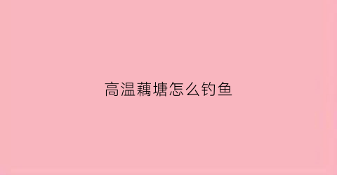 高温藕塘怎么钓鱼