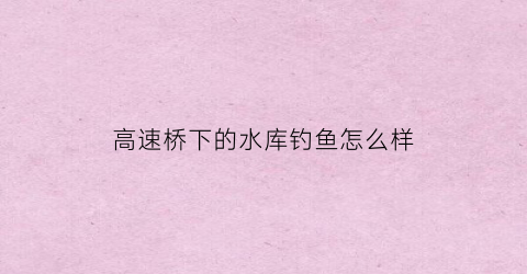 高速桥下的水库钓鱼怎么样