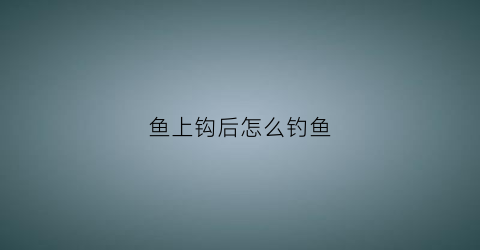 鱼上钩后怎么钓鱼(鱼上钩有什么反应)