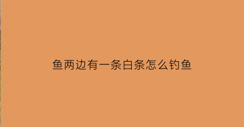鱼两边有一条白条怎么钓鱼(鱼两边的线叫什么名字)