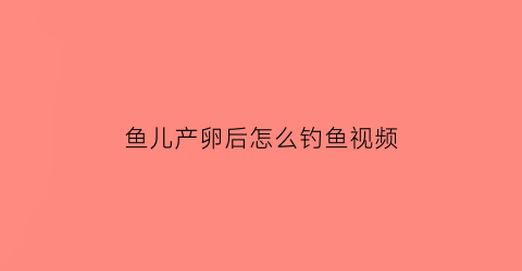 鱼儿产卵后怎么钓鱼视频