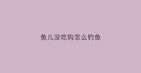 鱼儿没吃钩怎么钓鱼