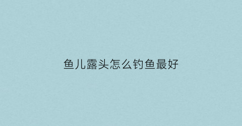 鱼儿露头怎么钓鱼最好(鱼露头的时候好钓鱼吗)