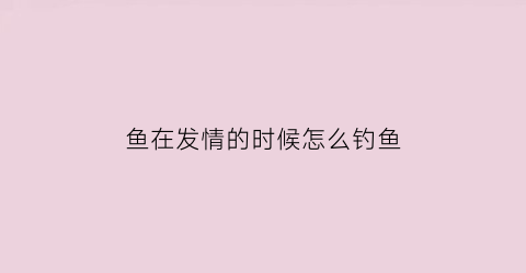 鱼在发情的时候怎么钓鱼(鱼在发情的时候怎么钓鱼呢)