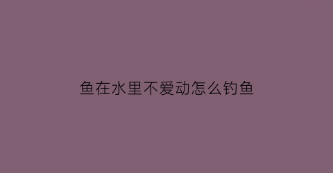 鱼在水里不爱动怎么钓鱼