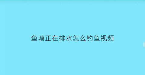 鱼塘正在排水怎么钓鱼视频