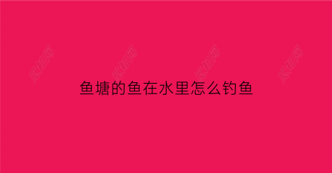 “鱼塘的鱼在水里怎么钓鱼(鱼塘的鱼在水里怎么钓鱼最好)