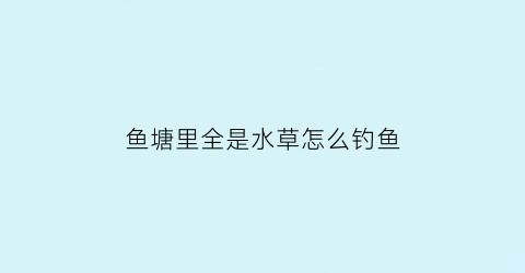 “鱼塘里全是水草怎么钓鱼(长满水草的鱼塘怎样钓鱼)