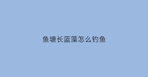 鱼塘长蓝藻怎么钓鱼(鱼塘蓝藻多是什么原因)