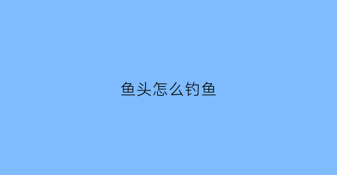 鱼头怎么钓鱼(钓鱼头怎么打结)