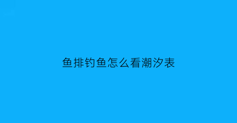 鱼排钓鱼怎么看潮汐表(鱼排海钓技巧大全)
