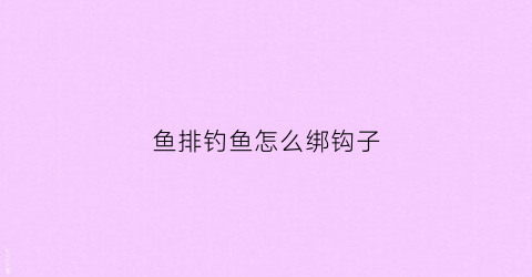 鱼排钓鱼怎么绑钩子(鱼排钓鱼是什么意思)