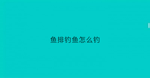 鱼排钓鱼怎么钓(鱼排钓技巧)