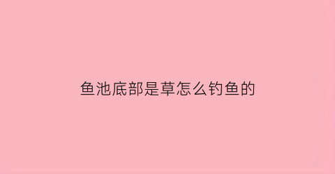 “鱼池底部是草怎么钓鱼的(观赏鱼池底部种些什么水草)