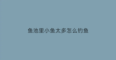 “鱼池里小鱼太多怎么钓鱼(池塘小鱼太多怎么钓大鱼)