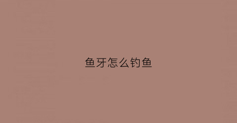 鱼牙怎么钓鱼(鱼牙怎么钓鱼最好)