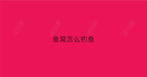 鱼窝怎么钓鱼(鱼窝怎么钓鱼视频)