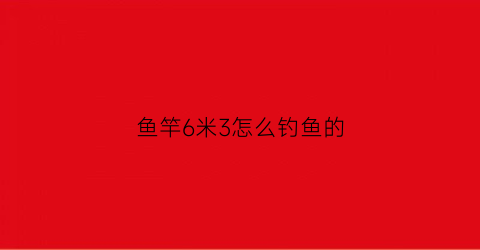 鱼竿6米3怎么钓鱼的(6米3鱼竿实际长度)