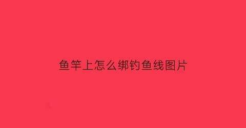 鱼竿上怎么绑钓鱼线图片(如何在鱼竿上绑鱼线)