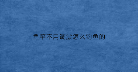 鱼竿不用调漂怎么钓鱼的(不用漂的鱼竿叫什么杆)