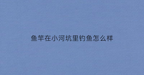 鱼竿在小河坑里钓鱼怎么样(鱼竿在小河坑里钓鱼怎么样呢)