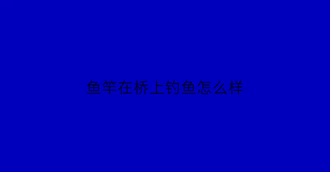 鱼竿在桥上钓鱼怎么样(桥钓鱼竿使用视频)