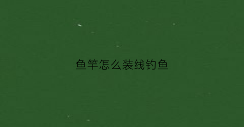 鱼竿怎么装线钓鱼(鱼竿怎么装鱼线视频)
