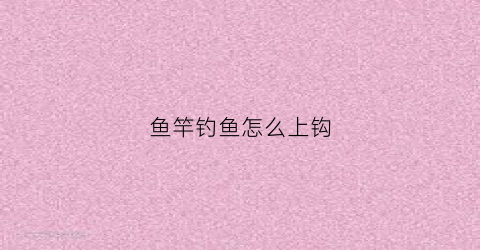 鱼竿钓鱼怎么上钩(鱼竿怎么上钩子)