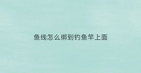 “鱼线怎么绑到钓鱼竿上面(鱼线怎么绑到钓鱼竿上面呢)