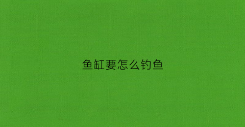 鱼缸要怎么钓鱼(鱼缸要怎么钓鱼才好)