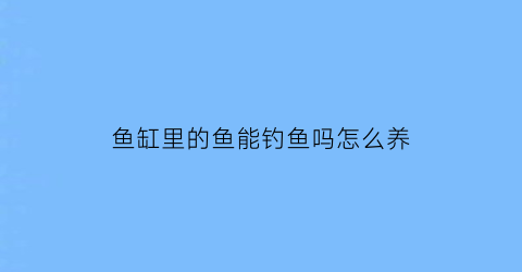 “鱼缸里的鱼能钓鱼吗怎么养(鱼缸里的鱼能养大吗)