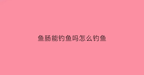 鱼肠能钓鱼吗怎么钓鱼(鱼肠子能钓鱼吗)