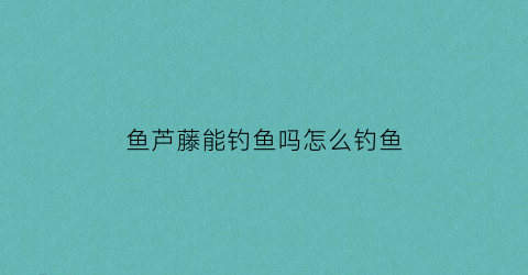 “鱼芦藤能钓鱼吗怎么钓鱼(鱼芦藤能钓鱼吗怎么钓鱼视频)