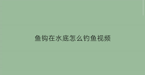 “鱼钩在水底怎么钓鱼视频(鱼钩到水底能钓到鱼吗)