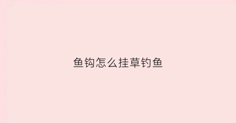 鱼钩怎么挂草钓鱼(钓草如何挂钩)