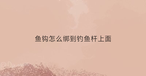 鱼钩怎么绑到钓鱼杆上面(鱼钩怎么绑到钓鱼杆上面视频)