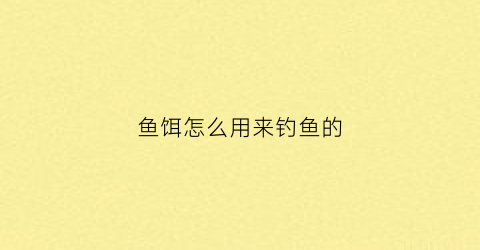 “鱼饵怎么用来钓鱼的(鱼饵料怎么用)