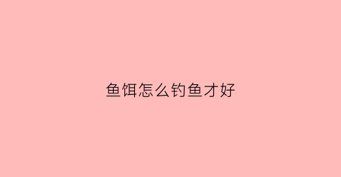 鱼饵怎么钓鱼才好(鱼饵教程)