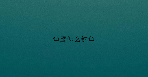 鱼鹰怎么钓鱼(鱼鹰对钓鱼的影响)