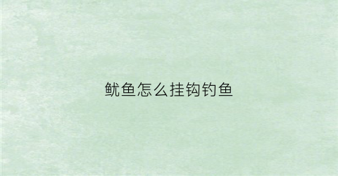 鱿鱼怎么挂钩钓鱼(鱿鱼怎么挂钩钓鱼效果好)