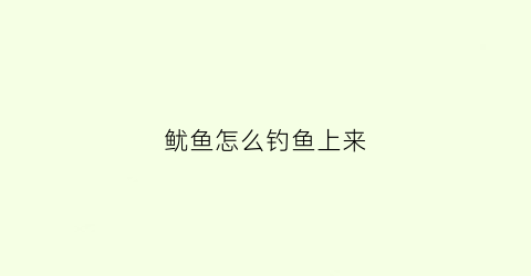 鱿鱼怎么钓鱼上来(钓鱿鱼怎么钓好钓)