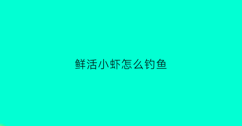 鲜活小虾怎么钓鱼