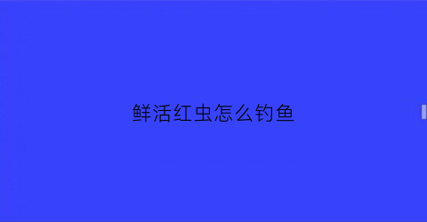 鲜活红虫怎么钓鱼(活红虫怎么钓)