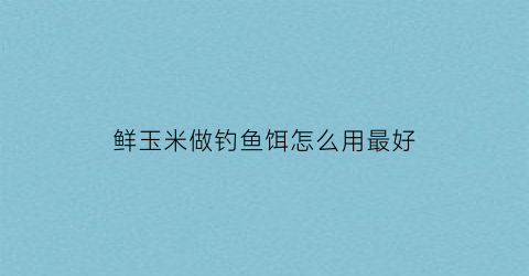 鲜玉米做钓鱼饵怎么用最好