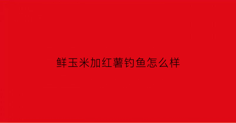 鲜玉米加红薯钓鱼怎么样(鲜玉米可以和红薯一起煮粥吗)