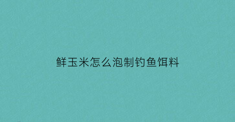 鲜玉米怎么泡制钓鱼饵料