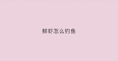 鲜虾怎么钓鱼(鲜虾钓饵做法)