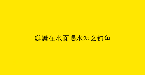 鲢鳙在水面喝水怎么钓鱼(鲢鳙浮水的时候可不可以钓上来)