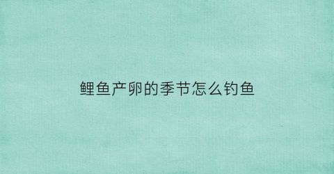 鲤鱼产卵的季节怎么钓鱼(鲤鱼产卵的季节能钓到么)